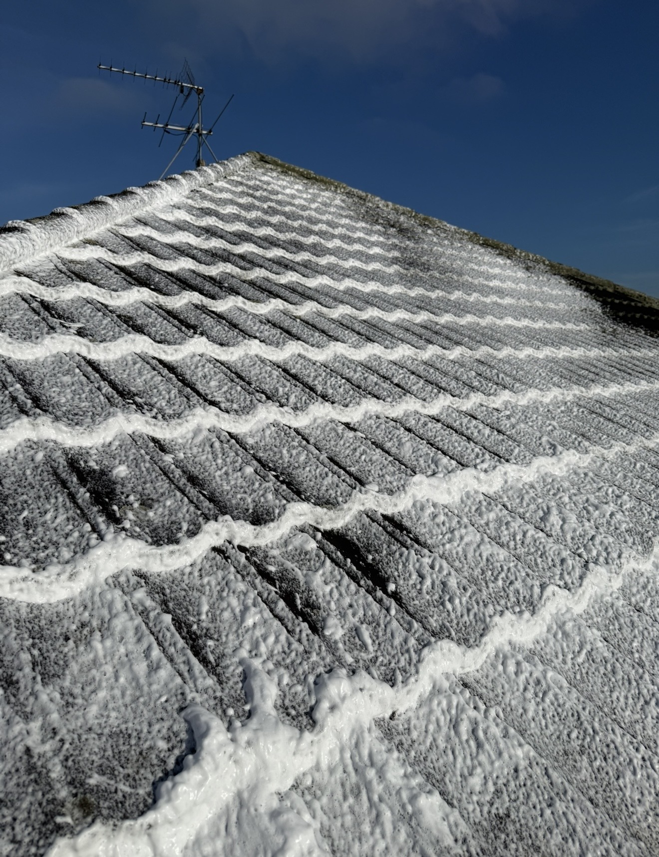 Roof Treatment – After